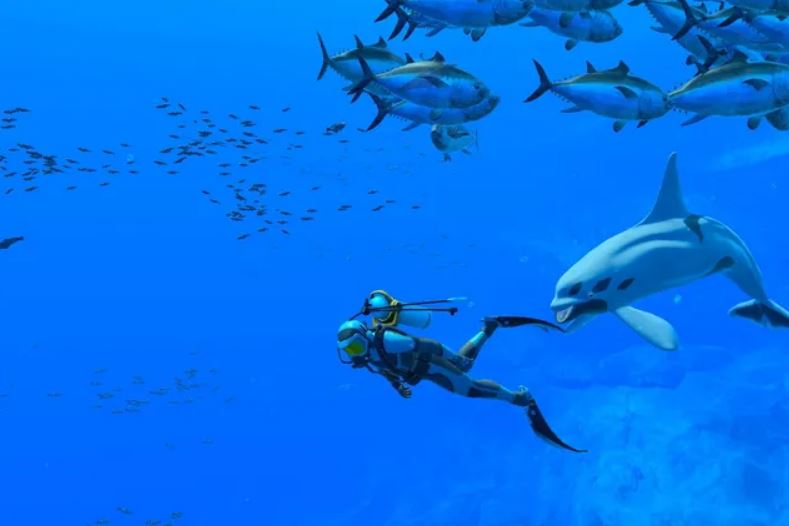 Endless Ocean is a simple, serene swim on the Switch.